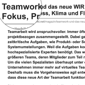 Teamwork und das neue WIR: Die Bedeutung von Fokus, Prozess, Klima und Flow_weiterbildungsmarkt.net 09_2019 von Ulrike Stahl Teamworkshops für Hochleistungsteams
