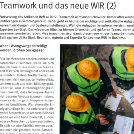 Teamwork und das neue WIR_Steine+Erden 10_2019 von Ulrike Stahl Teamworkshops live und online für globale und internationale Teams